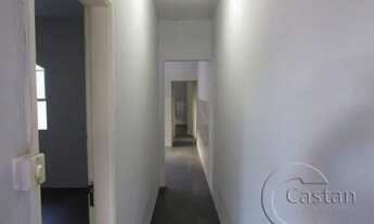 Imagem 5: Casa térrea para alugar no brás