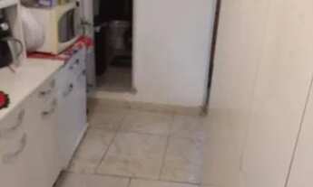 Imagem 7: Madureira junto portelinha