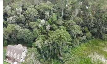 Imagem 4: Terreno 1.385m2 Lagoas Da Yara (descansópolis) R$49.999,00 à vista aceito carro