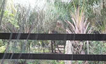 Imagem 5: TERRENO 16 HECTARES EM MARUDÁ