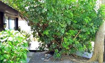 Imagem 4: Casa para aluguel com 120 metros quadrados com 3 quartos em Praia de Bombas - Bombinhas