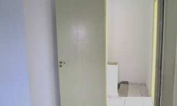 Imagem 7: ASSOBRADADO - IPIRANGA