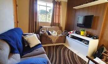 Imagem: Apartamento - Vila Nova - Campinas
