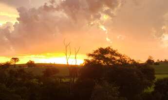 Imagem 3: Terreno em Boituva - 2.300 Metros - Bairro dos Ipês - Estrada Municipal Boituva
