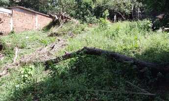 Imagem 2: Terreno murado em Itamaracá