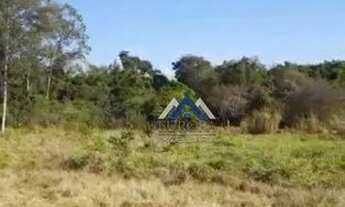 Imagem 3: Chácara à venda, 2000 m² por R$ 180.000,00 - Fazenda Nata - Londrina/PR