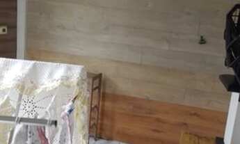 Imagem 2: Alugo casa Casa com 1 dormitório