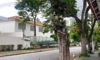 Imagem 6: São Paulo - Casa Padrão - Jardins