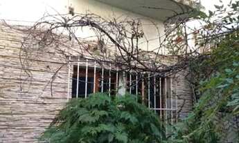 Imagem 2: São Paulo - Casa Padrão - Belenzinho