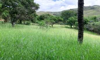 Imagem 4: Fazenda de 122 ha, nascente de água cristalina (Temos varias opções)