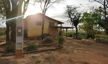 Imagem 7: Arrenda-se sítio em Bernardino De Campos com 7,197492 hectares, ROD. Raposo Tavares