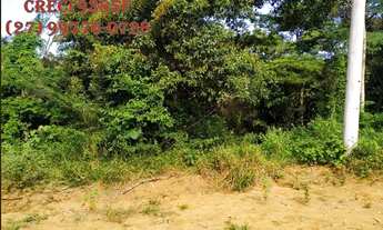 Imagem 5: SCL (T09) Olha isso aqui terrenos para chácara em Cariacica Sede