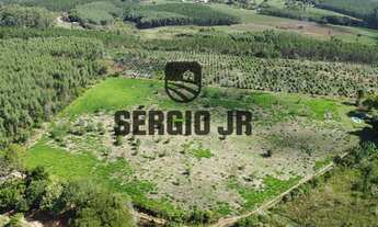 Imagem 7: Sítio com 7,9h, cabana, casa e piscina em Triunfo