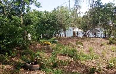 Imagem 3: Sítio Tapary Chácara com venda por R$300.000