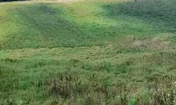 Imagem 7: Viva a natureza: terreno de 500m²