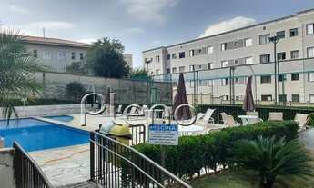 Imagem: Apartamento - Jardim Nova Europa - Campinas