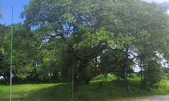 Imagem 2: Terreno Ananindeua- Aguas Lindas