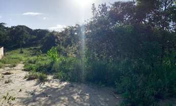 Imagem 2: Lote de 14 mil metros a beira da estrada de Trancoso/Caraiva