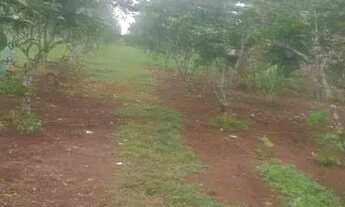 Imagem 4: Casa em Santo Antônio de Jesus