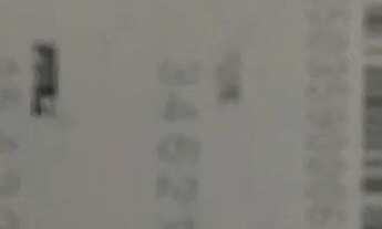 Imagem 3: Aptos Apartamento com 2 dormitórios