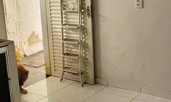 Imagem 2: Casa para alugar