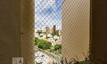 Imagem 6: Apartamento para Aluguel - Ponte Preta, 1 Quarto, 50 m2