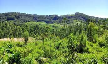 Imagem 6: ANITÁPOLIS/SC - Ótimo terreno com 11.5hectares