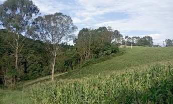 Imagem 6: Terreno Rural 7,5 alqueires