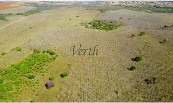 Imagem 5: Fazenda em Unaí - Minas Gerais, à venda com 537ha - Dupla Aptidão