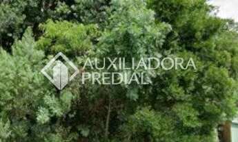 Imagem: Terreno Comercial à Venda, com 1.250,00m²