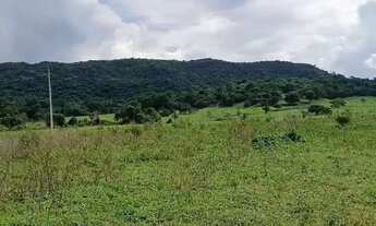 Imagem 7: FAZENDA 120 ALQUEIRES MUNICÍPIO DE ITAPACI-GO