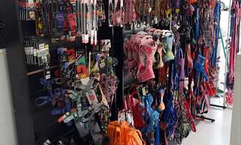 Imagem 6: Excelente oportunidade Loja de Pet Shop completo à venda em Goiânia!