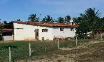 Imagem 4: Casa com 160 m2 terreno com área total de 2.300 m2