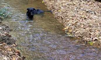 Imagem 2: 2 Alqueires Chácara com venda por R$450.000