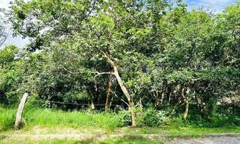 Imagem 2: CMCF 2 Lote 612651033-85