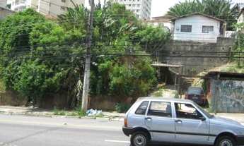 Imagem 5: Terreno à venda, 335 m² por R$ 850.000,00 - Butantã - São Paulo/SP