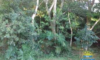 Imagem 5: Terreno próximo à avenida principal do Santinho