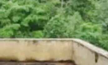 Imagem: Sobrado campo comprido 4 quartos