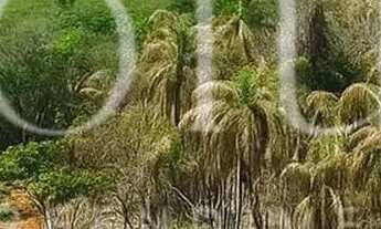 Imagem: 85A- O LUGAR PERFEITO PARA CONSTRUIR O SEU