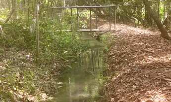 Imagem 3: SÍTIO À VENDA - PRÓXIMO A FLOR DE MINAS GURINHATA - Água em Abundância - R$ 2.000.000,00