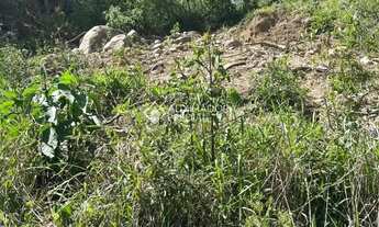 Imagem 7: Loteamento Bosque das Araucárias - Linha Imperial