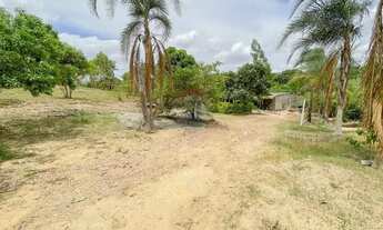 Imagem 6: Chácara Excepcional em Riacho Fundo - DF