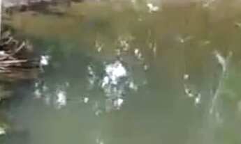 Imagem: Vende-se chácara c/ banho Próximo a Vila