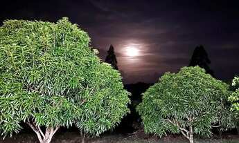 Imagem 3: Chácara Chácara com venda por R$1.400.000