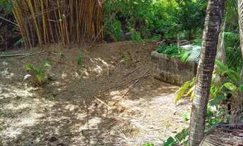 Imagem 7: CASA SITIO NA ESTRADA DE RIBAMAR ( AURORA ) (98)9 8735 42 97