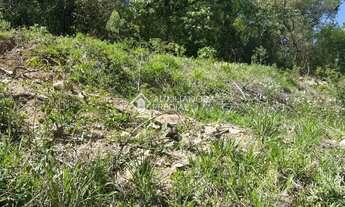 Imagem 4: Loteamento Bosque das Araucárias - Linha Imperial