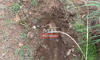 Imagem 6: Fazenda 154 alqueires (745,36 hectares) Colinas Do Sul - Go