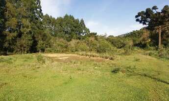 Imagem 3: Sitio 1.5 hectare com lago, pertinho de Gramado