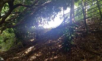 Imagem 2: Sitio Abreu e Lima