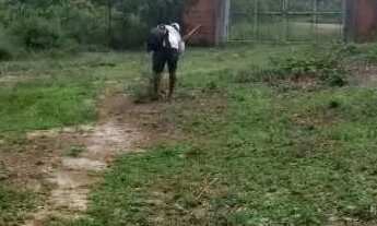 Imagem: VENDO OU TROCO LOTES DE TERRA!